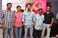 Saradaga Ammaitho Successmeet